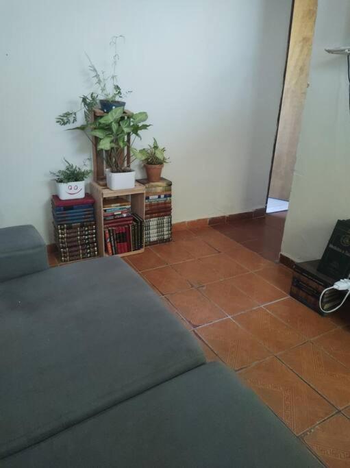 Refugio Dos Viajantes Apartment Pirai Ngoại thất bức ảnh